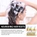 Jamaican Black Castor Oil Shampoo & Conditioner Set | Hair Thickening Regrowth & Moisturizing for Men & Women - Buy Online on GoSupps.com