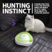 All for Paws 2 in 1 Interactive Cat Toy - Fluttering Butterfly & Rolling Balls - Automatic Indoor Kitten Spinner Toy - Buy Online on GoSupps.com