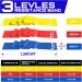 Premium Resistance Bands Set for Workout & Physical Therapy | 3 Exercise Bands for Pilates Stretching Strength Training & Yoga - 1.5M/4.9ft - Buy Online on GoSupps.com
