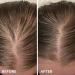 Shampoo Conditioner & Serum Set | Fermented Rice Water & Biotin | Hair Growth Repair Kit | Sulfate Free Vegan All Hair Types - Buy Online on GoSupps.com
