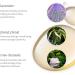 Elemental Herbology Soothe Bath & Body Oil - 5 Fl Oz | Calming Essential Oils Blend for Relaxation - Shop Internationally - Buy Online on GoSupps.com