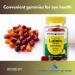 Lutein 20mg- Gummies 60ct with Zeaxanthin (Pack of 1) Boxed by Fusion Shop Store - Buy Online on GoSupps.com