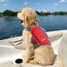 Vivaglory Light Lifeguard for Dogs - Skin-Friendly Neoprene Pet Lifesaver | Red Medium (53-63cm) with D-Ring & Quick Lock - Perfect for Dog Swimming - Buy Online on GoSupps.com