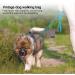 HOAAIGO Dog Training Treats with Carabiners | Hands-Free Elderly Dog Leader & Automatic Closure | Compact Feed Bag for Dogs (Gray) - Buy Online on GoSupps.com