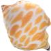 Zerodeko 4pcs Conch Pillow Doll Throw Pillows for Couch Bed Pillows Couch Pillows Throw Pillows for Bed Throw Pillow for Couch Sofa Pillow Home Pillow Plush Oysters Girl As Shownx4pcs 50.00X40.00X10.00CMx4pcs - Buy Online on GoSupps.com