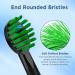 Water Pik Sonic Fusion Compact Toothbrush Heads (SF-01/SF-02/SF-03/SF-04) - 4 Count Black with Covers - Buy Online on GoSupps.com