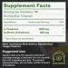 Caffeine Theanine Capsules - 100mg Caffeine + 200mg L Theanine for Energy Focus & Pre Workout | Nootropic Supplement | 120 Day Supply - Buy Online on GoSupps.com