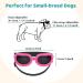 Pawaboo Dog Sunglasses  Small Dog Goggles with Adjustable Band  Waterproof Windproof Snowproof Cool Glasses for Puppy and Cat  Pink - Buy Online on GoSupps.com