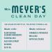 Mrs. Meyer's Hand Soap Mint - Essential Oils, Biodegradable, 3 Pack (12.5 fl. oz Each) - Limited Edition - Buy Online on GoSupps.com