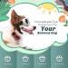 Lewondr UV Safety Sunglasses for Small Dogs - Heart-Shaped Waterproof Windproof Glasses with Adjustable Rubber Band - Buy Online on GoSupps.com