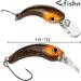 Fishn Fishy Trout Wobbler Set - 4cm 1.3g Trout Bait & Spoons for Spin Fishing (5x) - Ideal for Trout Saibling & Perch - Buy Online on GoSupps.com