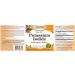 Lidtke Potassium Iodide Supplement - Essential Mineral Support for Thyroid Health - Buy Online on GoSupps.com