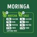 Kuli Kuli Moringa Powder - 7.4 oz - Organic Superfood for Health - Buy Online on GoSupps.com
