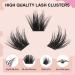 Crislashes 144pcs D Curl Individual Cluster Eyelashes - Soft Fluffy Wispy Look - Reusable Lash Extensions 10-16mm - Buy Online on GoSupps.com