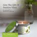 Magnificent 101 Long Lasting Lotus Flower Aromatherapy Candle - 6 Oz Smudge Candle for Energy Cleansing Meditation & Manifestation Purification | Paraffin Free Soy Wax - 35 Hour Burn - Buy Online on GoSupps.com