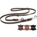 Premium 3-Way Adjustable Fat Leather Dog Leash - Handmade in Germany | 2.80m x 20mm | Soft Green with Chrome Fittings - Buy Online on GoSupps.com