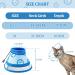 Ohcozzy Adjustable Break Rake Cat Collar - Transparent Window Breathable & Anti-Loss Protective Design - Soft Pet Collar for Post-Operation (S Dark Blue) - Buy Online on GoSupps.com