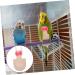 NOLITOY Africa Xuan Washable Reusable Parakeet Feng Birds Flight African Parrot Nappies Bow Bird Breathable 14x7cm - Buy Online on GoSupps.com