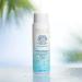 Pacifica Beauty Coco Peptide Damage Care Shampoo for Dry & Damaged Hair - Repair Damage from Bleach, Color, Chemical Services, Chlorine & Heat - With Coconut, Vitamin B5, and Peptide - Treat Split Ends & Breakage - Buy Online on GoSupps.com