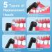 SIQUER Tooth Polisher - Electric Plaque Remover & Teeth Whitening Kit with 5 Speed Modes LED Light & 5 Brush Heads - Effective Dental Tool for Home Use - Buy Online on GoSupps.com
