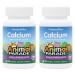 NaturesPlus Animal Parade Sugar-Free Children's Calcium Vanilla Sundae Flavor - 90 Chewable Animal Shaped Tablets Pack of 2 - Magnesium for Bone Health - Gluten Free - 90 Servings 90 Count (Pack of 2)