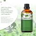 Premium Grade PHATOIL Spearmint Essential Oil - 30ML for Aromatherapy and Diffusers - Buy Online on GoSupps.com