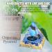 VDYXEW Lapis Lazuli Aquarius Orgone Pyramid for Positive Energy and Stress Relief - Buy Online on GoSupps.com