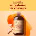 SheaMoisture Strengthen & Restore Shampoo ultimate moisture for natural chemically treated or heat styled hair Jamaican Black Castor Oil 2 x 384 ml - Buy Online on GoSupps.com