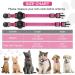 Buy Airtag Cat Collar with Apple Air Tag Holder - Safety Lock & Elastic for Kittens Cats & Puppies (18-26cm Pink) - International Shipping Available - Buy Online on GoSupps.com
