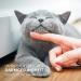 AniForte WermiX Liquid for Cats 50ml - Natural Worm Infestation Support | Fast International Shipping - Buy Online on GoSupps.com