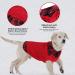 Cit toile Warm Dog Sweater - Stylish Turtleneck Knit for Autumn Winter | Cozy Coat for Small & Medium Pets | Red Large Size - Buy Online on GoSupps.com