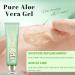 Natural Aloe Vera Gel for Face Pure Aloe Vera Gel Aloevera Gel for Skin Soothing Aloe Vera Face Gel for Women & Men Aloe Vera After Sun Body Face Care for Sunburn Repair Scars Restoring 160g - Buy Online on GoSupps.com