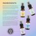 Tisserand Aromatherapy - Wellbeing Roller Ball Collection - Pulse Point Roller Ball - Happy Vibes Total De-Stress Sleep Better and Real Calm - 100% Natural Pure Essential Oils - 4x10ml - Buy Online on GoSupps.com