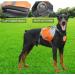 Lifeunion Adjustable Service Dog Supply Backpack Saddle Bag for Camping Hiking Training Black M - Buy Online on GoSupps.com