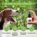 MC-Royal Dental Care Spray for Dogs & Cats - 100ml Teeth Cleaning Freshens Breath Reduces Tartar & Dental Care - Buy Online on GoSupps.com
