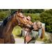 Buy RL24 Zedan Insect Gel with Sponge | Long-Lasting Fly Protection for Horses & Riders | 5x500ml Buckets | Effective Against Flies Mosquitoes & Ticks - Buy Online on GoSupps.com