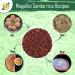 Buy B&B Organics Mappillai Samba Hand Pounded Red Rice - 1 kg / 2.2 lb - Best Quality - Buy Online on GoSupps.com