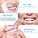 Mitbuty Tooth Whitening Strips with Natural Coconut Oil - 42 Non-Slip Treatments for Professional Teeth Whitening - Safe & Effective - Buy Online on GoSupps.com