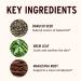 Banyan Botanicals Bakuchi Oil+ Natural Face Oil & Body Oil with Bakuchiol & Ayurvedic Herbs to Support Healthy & Radiant Skin 8 oz Non-GMO Sustainably Sourced Physician-Formulated Bakuchi Oil 8oz - Buy Online on GoSupps.com