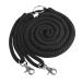 Lunging aid