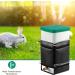 YOXIER Heated Kettle for Rabbits Small Animals Low Power Consumption Animal Water Bottle No Drip Automatic Thermo Dispenser Pet Fountain Rabbit Hamster Black - Buy Online on GoSupps.com