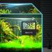Capetsma Digital Aquarium Thermometer - Large LCD Screen, Records High & Low Water Temperature - Black - Buy Online on GoSupps.com