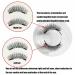 Krafty Magnetic Eyelashes - Reusable Natural Look Lashes with Applicator | Easy to Wear & Remove (2pcs - Buy Online on GoSupps.com
