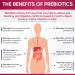 Wholesome Raw Probiotics for Women - 100 Billion CFUs  60 Capsules - Buy Online on GoSupps.com