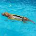PopetPop Dog Life Jacket - Reflective & Durable Float Coat for Small Medium & Large Dogs - Ideal for Swimming & Training - Buy Online on GoSupps.com