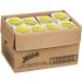 Jell-O Vanilla Ready to Eat Pudding 2.376kg (Pack of 24) - Buy Online on GoSupps.com