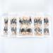CIXLOGIC 50pcs Disposable Dual Sided Eyeshadow Brushes Eye Shadow Applicator Sticks Soft and Comfortable Sponge Tipped Eye Make up Applicators - Buy Online on GoSupps.com