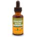 Herb Pharm Certified Organic Stoneroot Blend Liquid Extract for Cardiovascular and Circulatory Support 1 Oz 1 Fl Oz (Pack of 1)