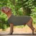 Hjumarayan Thin Dog Sweater for Medium Dogs - Washable Striped Fleece Shirt for Corgis & Dachshunds - Elastic Military Green Design - Buy Online on GoSupps.com