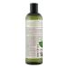 Petal Fresh Pure Rosemary & Mint Shampoo 355ml - Natural Hair Care for All Hair Types | Buy Online Worldwide - Buy Online on GoSupps.com